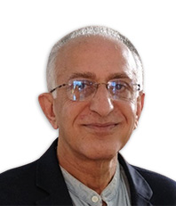 Professor Saleem Badat